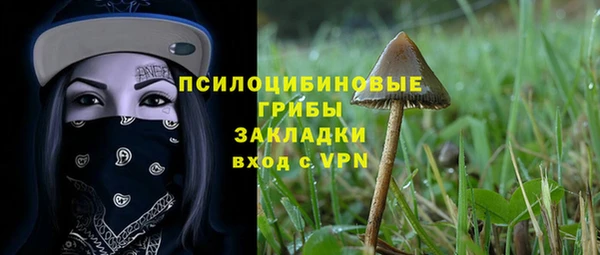 эйфоретик Богородицк